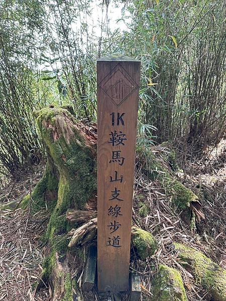 台中大雪山遊樂區步道♥大雪山國家森林遊樂區步道群♥大雪山國家