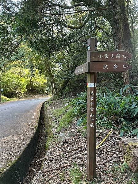 台中大雪山遊樂區步道♥大雪山國家森林遊樂區步道群♥大雪山國家