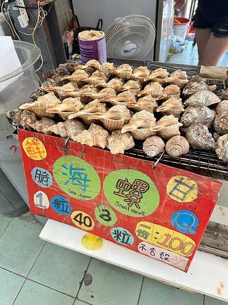 基隆野柳一日遊》 野柳風景區（野柳地質公園）「台北松山機場接