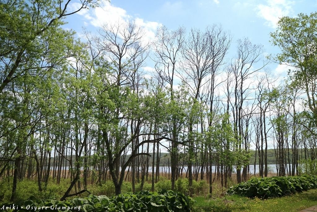 PhotoCap_027.jpg