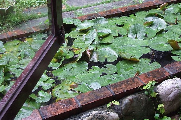 青田咖啡館