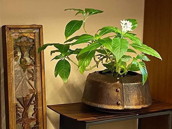A89康嘉良墨金水方。花器-4.jpg