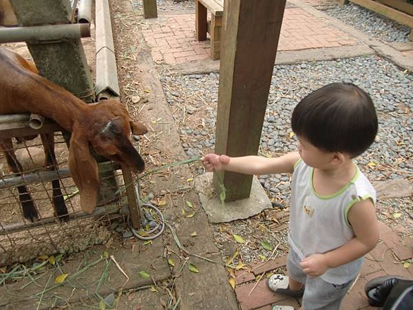 20120526 065