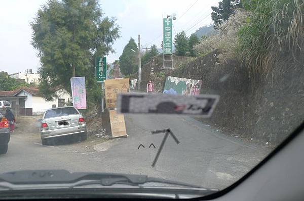 賞梅