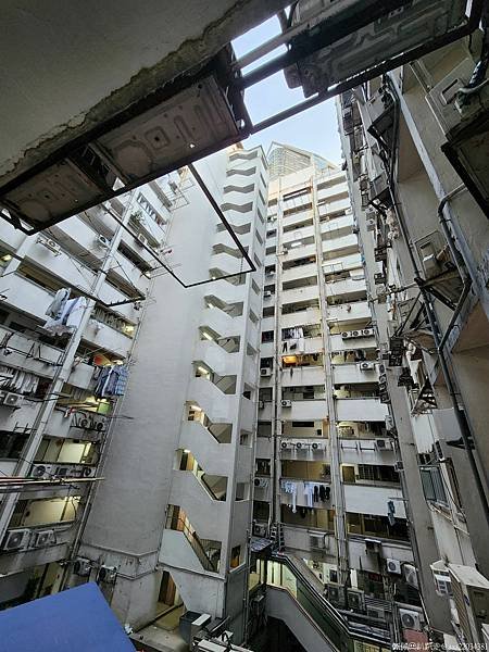 20250127_073117_rloRpv_结果.jpg