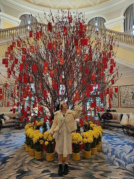 20250129_134149_YtpViJ_结果.jpg