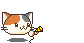 019.gif