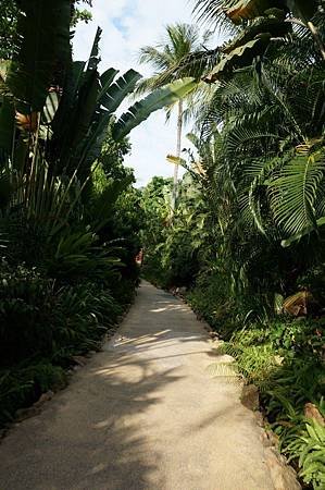 DSC01291