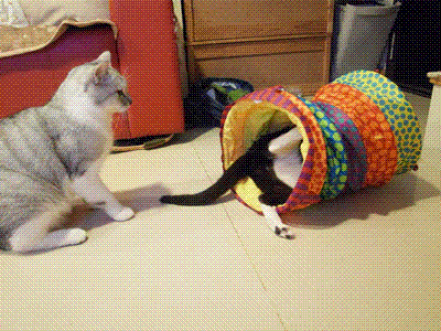 R1067048.gif