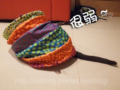R1067034.JPG