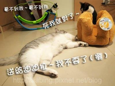 R1067470.JPG