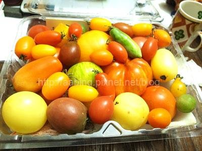 蕃茄聯合國