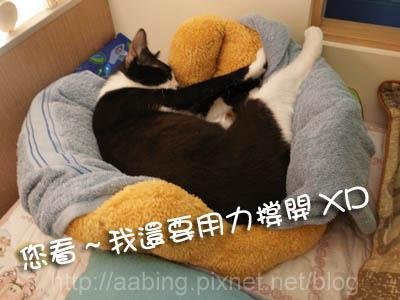 R1067536.JPG