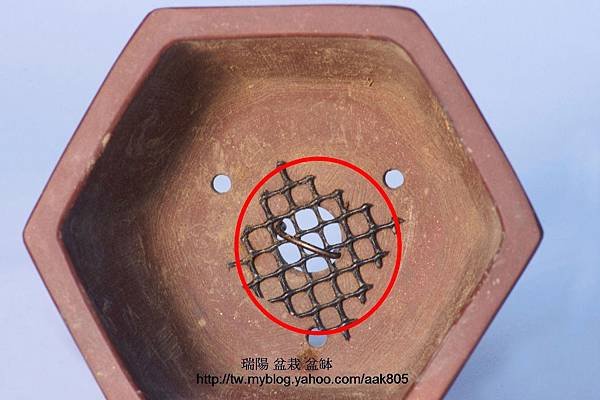 固定盆缽防蟲網