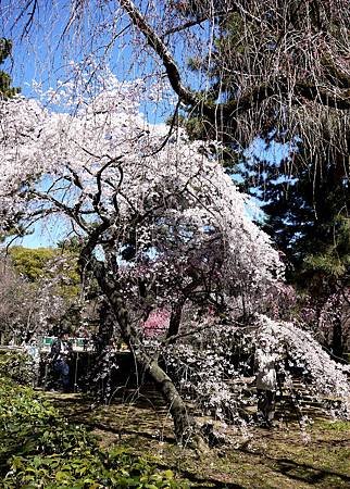 P1000446.JPG