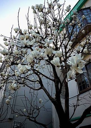 P1000325.JPG