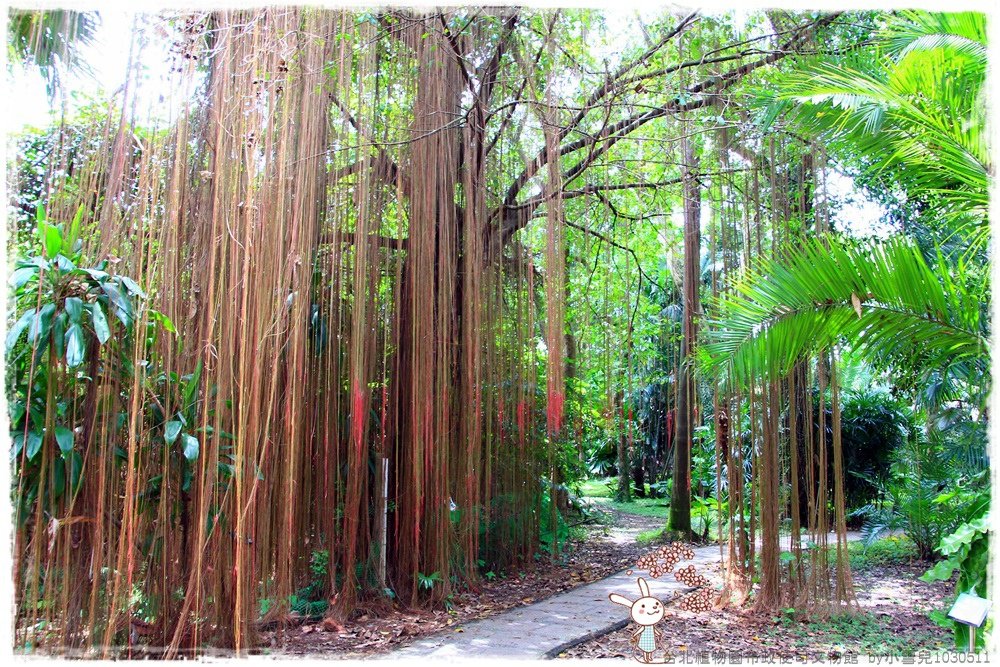 台北植物園布政使司文物館 by小雪兒1030511IMG_6947.JPG