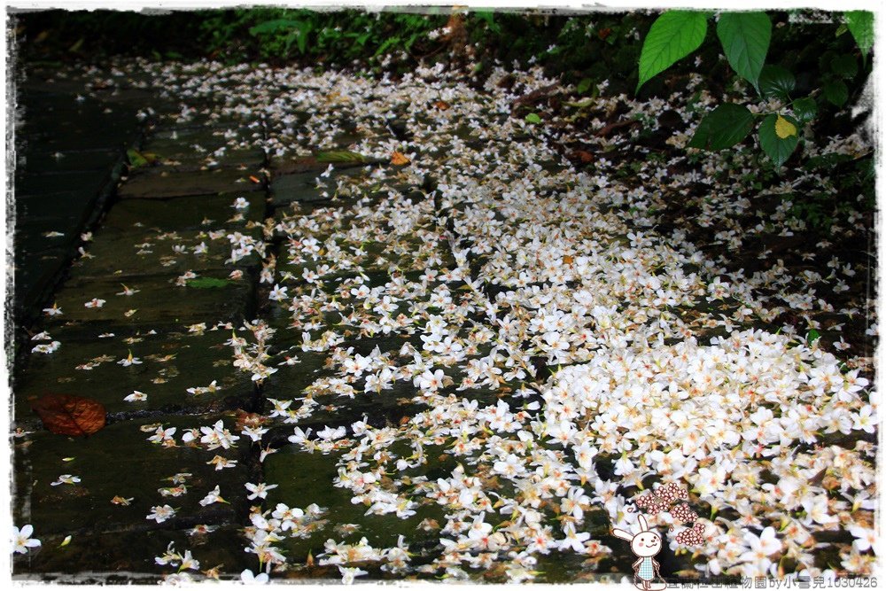 宜蘭仁山植物園by小雪兒1030426IMG_6136.JPG