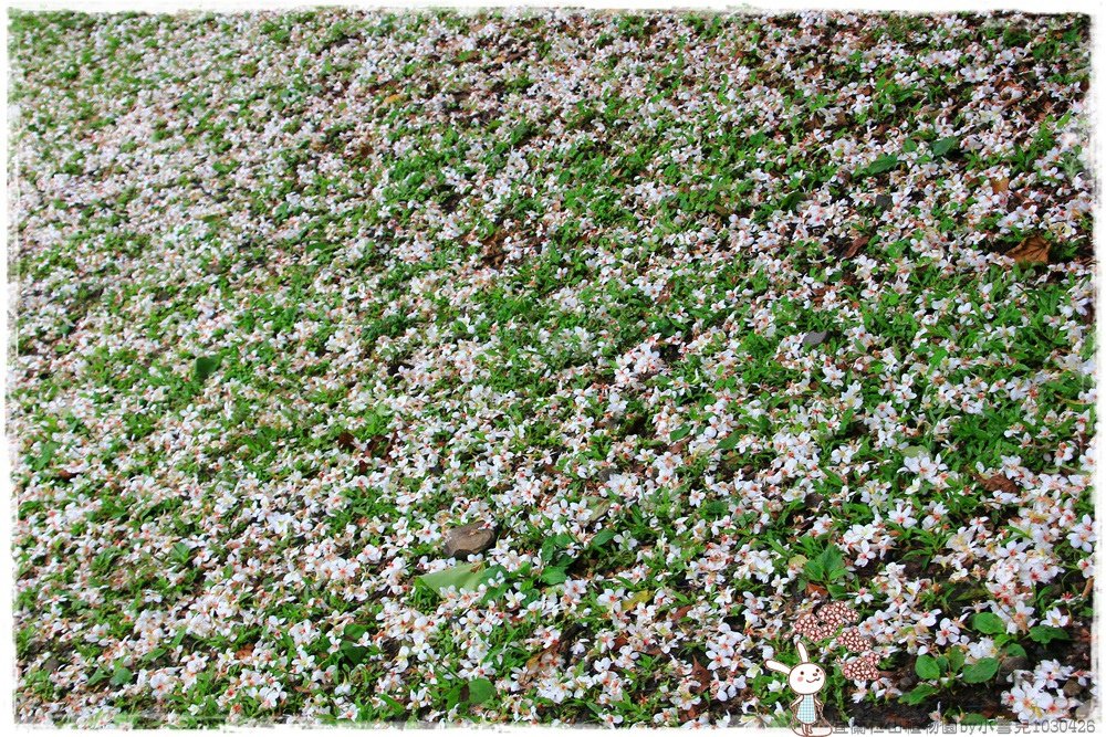宜蘭仁山植物園by小雪兒1030426IMG_6191.JPG