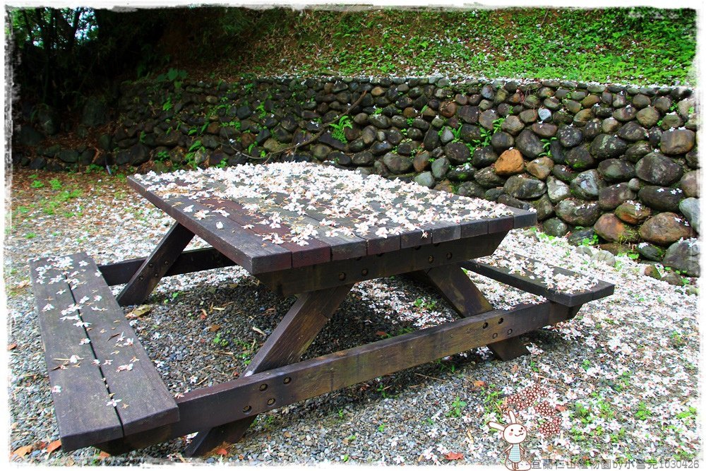 宜蘭仁山植物園by小雪兒1030426IMG_6199.JPG