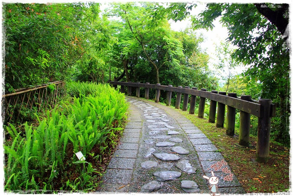 宜蘭仁山植物園by小雪兒1030426IMG_6208.JPG