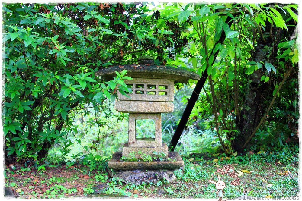 宜蘭仁山植物園by小雪兒1030426IMG_6244.JPG
