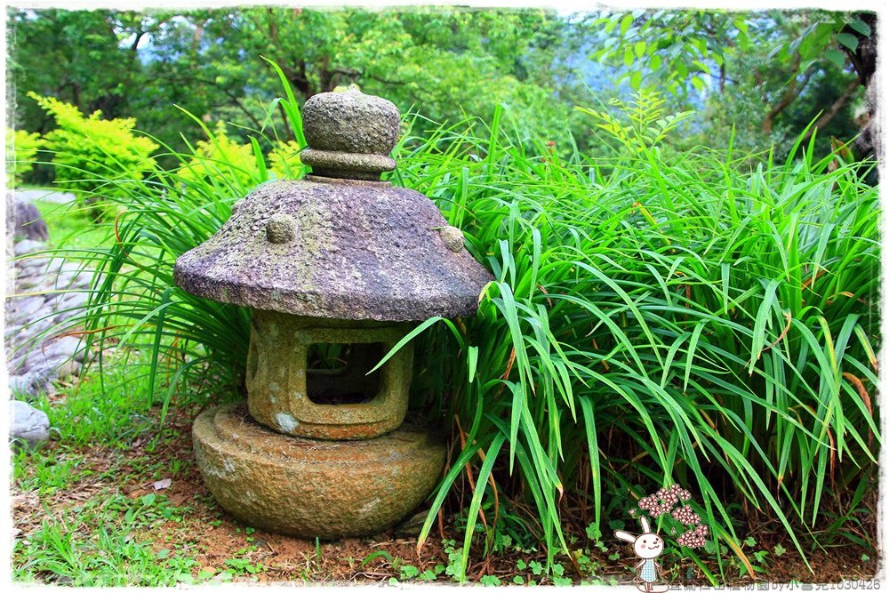 宜蘭仁山植物園by小雪兒1030426IMG_6257.JPG
