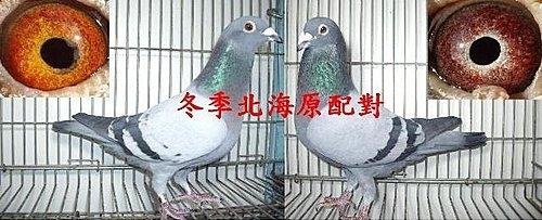12父母