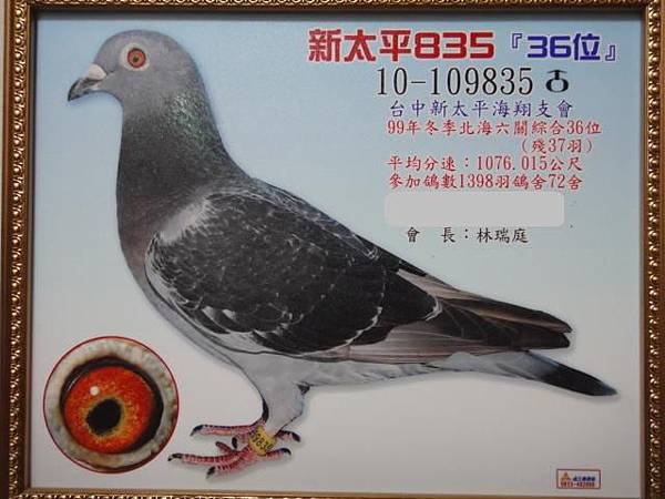 36修