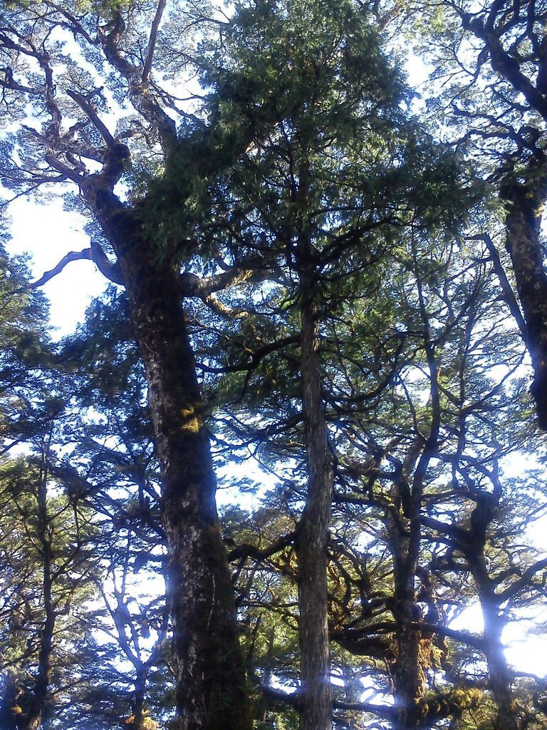 DSC00088