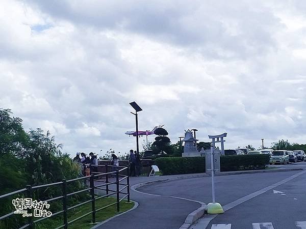 74.jpg