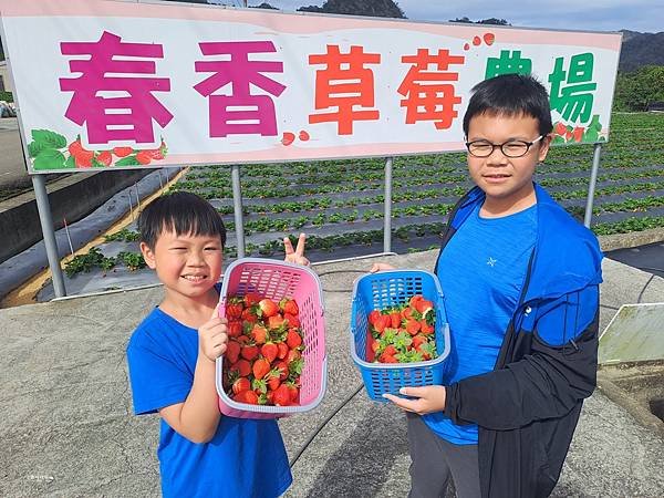 ღ『苗栗大湖。寵物親子景點』春香草莓農場（高架草莓園／草莓季