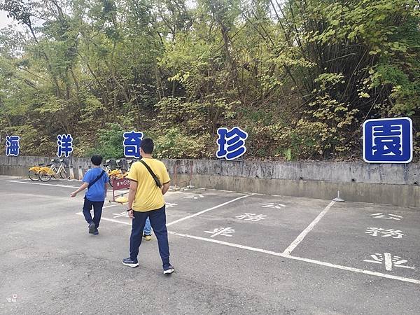 ღ『高雄鳥松。親子景點』澄清湖海洋奇珍園（秘密隧道裡的海洋生