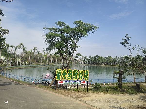 ღ『高雄鳥松。親子景點』澄清湖海洋奇珍園（秘密隧道裡的海洋生