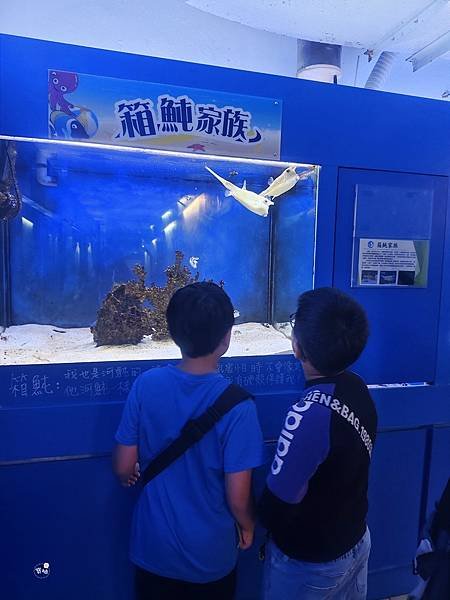 ღ『高雄鳥松。親子景點』澄清湖海洋奇珍園（秘密隧道裡的海洋生