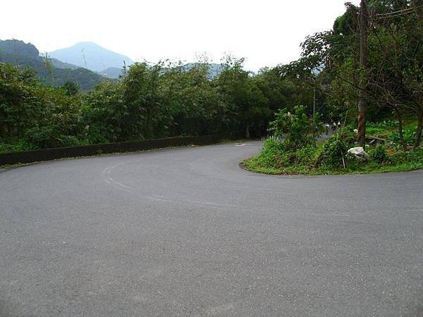 2011陽金P字山道035.JPG