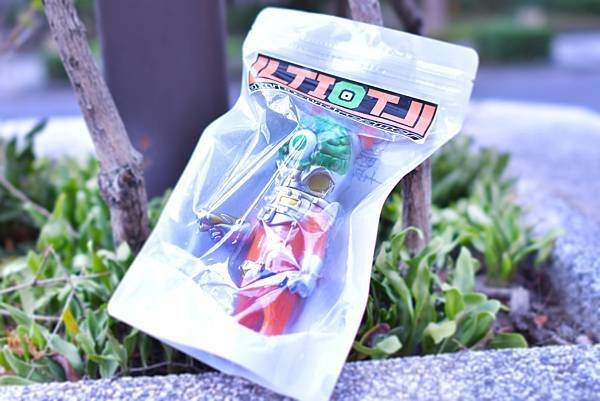 2016年 ウルティオトル オレンジ ユーキデイドリーマー 