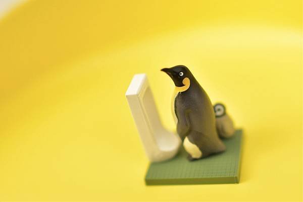 2019年 ペンギン 佐藤邦雄の動物たち つれ○○○2 海洋