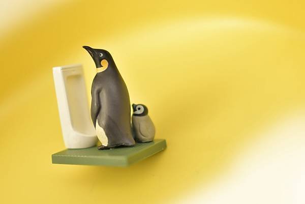 2019年 ペンギン 佐藤邦雄の動物たち つれ○○○2 海洋