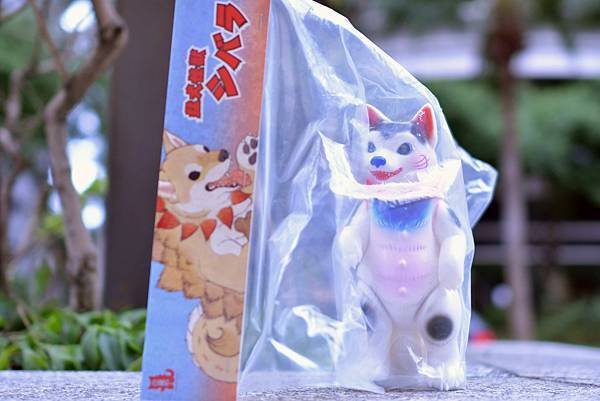 2018年 小夏や 猛犬怪獣 シバラ   小夏屋 大王 シバ