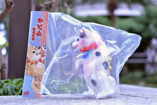 2018年 小夏や 猛犬怪獣 シバラ   小夏屋 大王 シバ