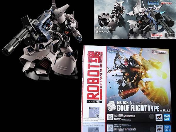 MS-07H-8 グフ フライトタイプ VER.A.N.I.