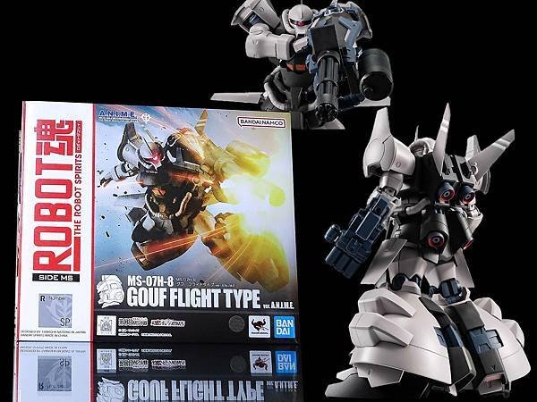 MS-07H-8 グフ フライトタイプ VER.A.N.I.