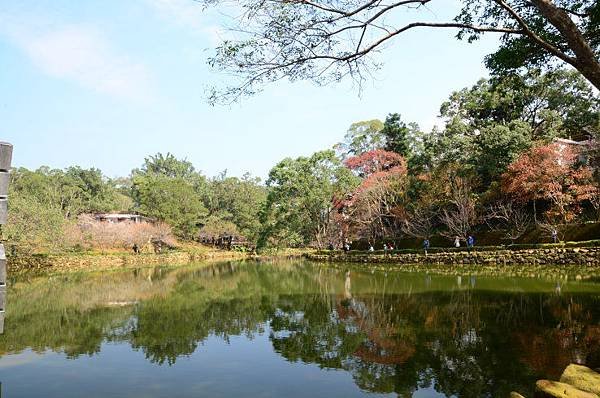 角板山楓葉 (3).JPG