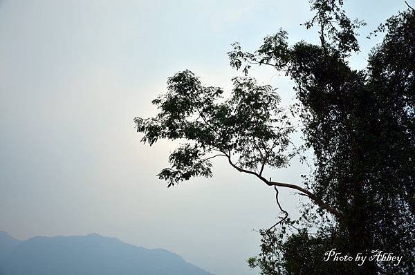 茂林國家風景區 (13).JPG