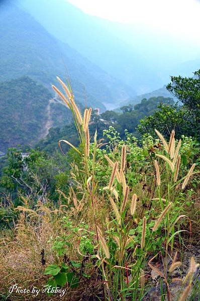 茂林國家風景區 (19).JPG