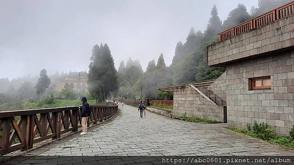 20200706_132434.jpg