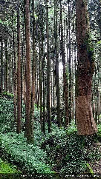 20200706_133508.jpg