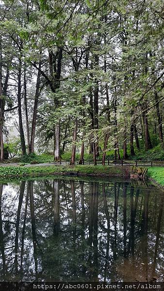 20200706_134614.jpg