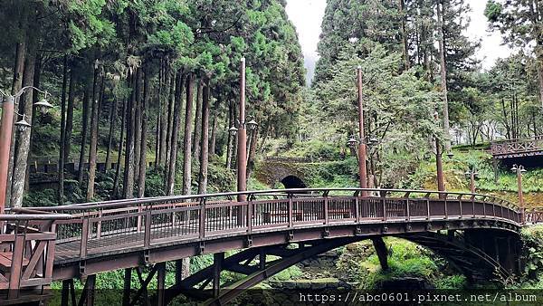 20200706_143016.jpg